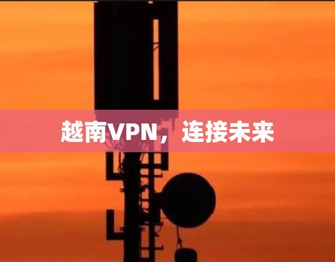 越南VPN，连接未来