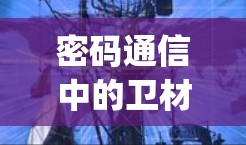 密码通信中的卫材vpn，守护网络安全的未来