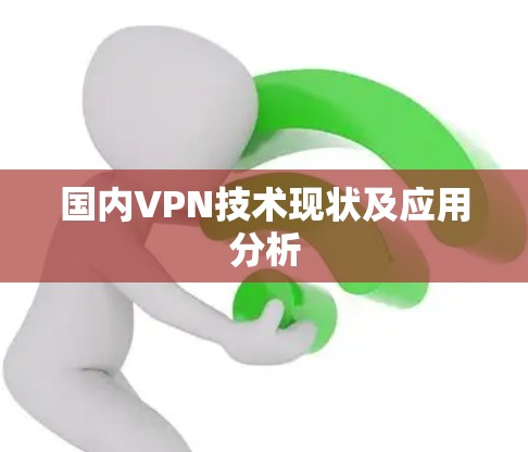 国内VPN技术现状及应用分析