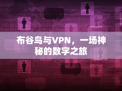 布谷鸟与VPN，一场神秘的数字之旅
