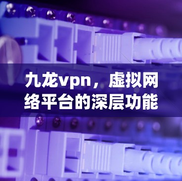九龙vpn，虚拟网络平台的深层功能与未来展望