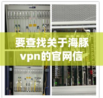要查找关于海豚vpn的官网信息，建议您直接访问相关网站的官方网站或联系他们的客服人员获取详细信息。以下是一些可能的步骤