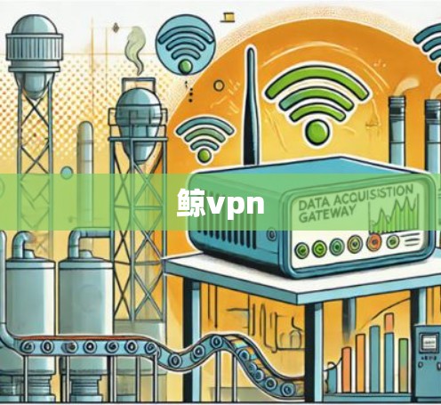 鲸vpn 鲸vpn