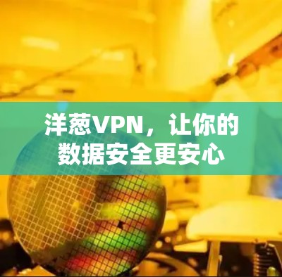 洋葱VPN，让你的数据安全更安心