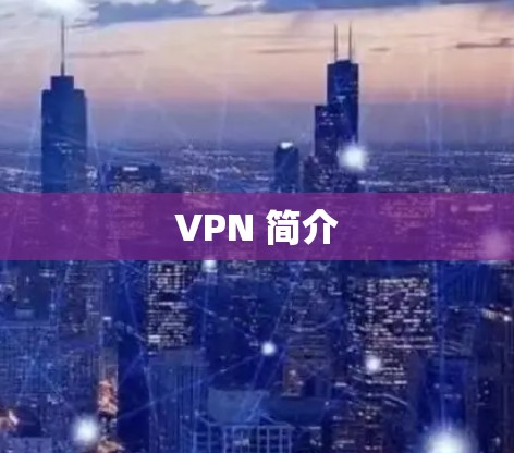 VPN 简介 VPN 简介