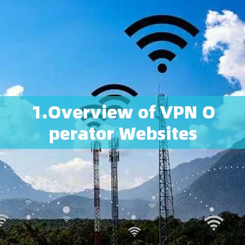 1.Overview of VPN Operator Websites 1.Overview of VPN Operator Websites