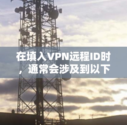 在填入VPN远程ID时，通常会涉及到以下内容和步骤