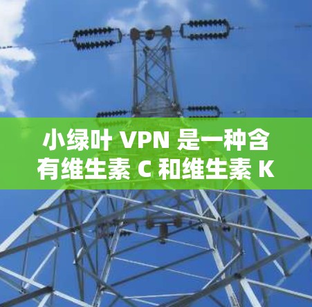 小绿叶 VPN 是一种含有维生素 C 和维生素 K 的天然药物，通常被称为小叶 VPN。它看起来像是绿色的小叶，因此在外观上显得很吸引人
