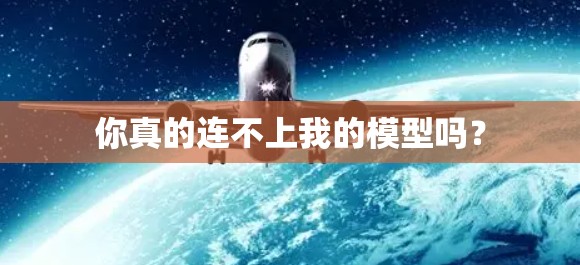 你真的连不上我的模型吗？