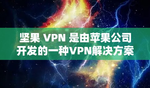 坚果 VPN 是由苹果公司开发的一种VPN解决方案，旨在提供加密通信服务，帮助用户访问互联网时保持安全性。以下是关于坚果 VPN 的详细信息