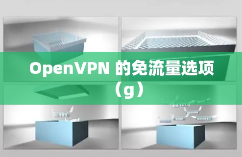 OpenVPN 的免流量选项（g）
