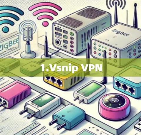 1.Vsnip VPN 1.Vsnip VPN