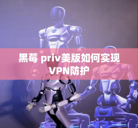 黑莓 priv美版如何实现VPN防护