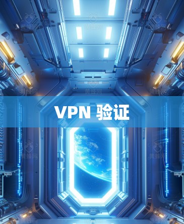 VPN 验证