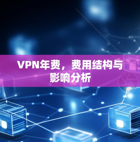 VPN年费，费用结构与影响分析