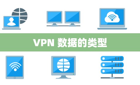 VPN 数据的类型