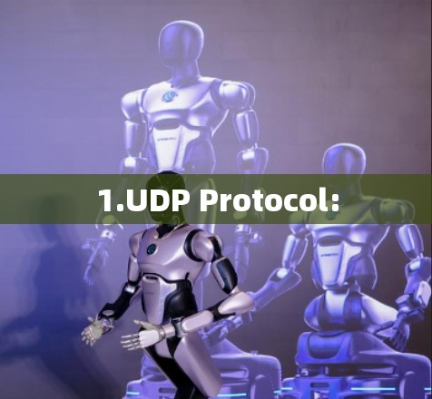1.UDP Protocol: