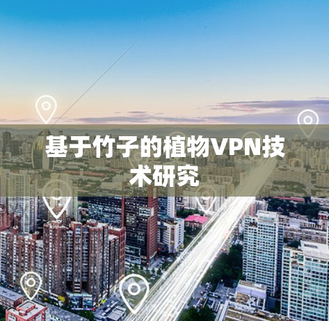 基于竹子的植物VPN技术研究 基于竹子的植物VPN技术研究