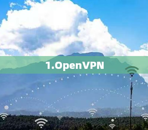 1.OpenVPN