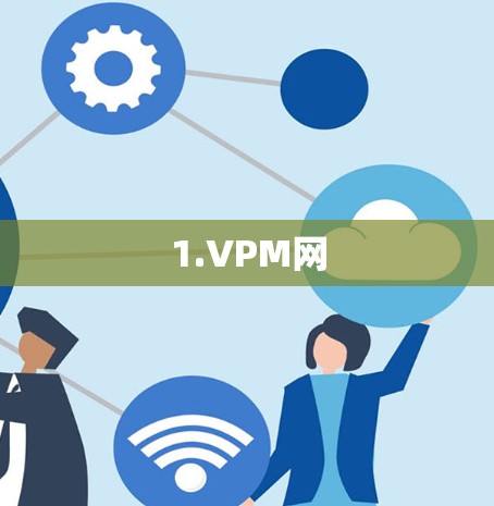 1.VPM网