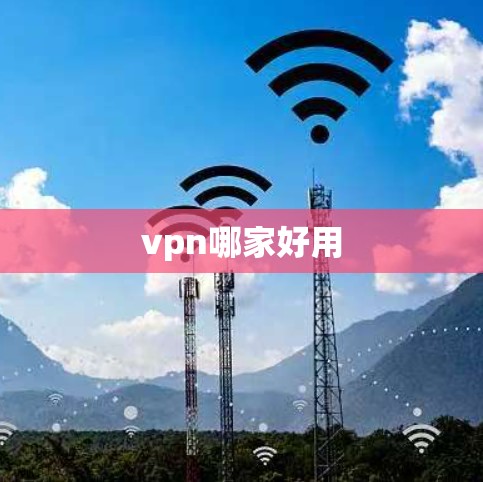 vpn哪家好用