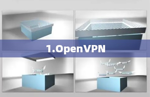 1.OpenVPN 1.OpenVPN