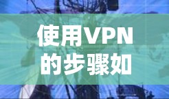 使用VPN的步骤如下