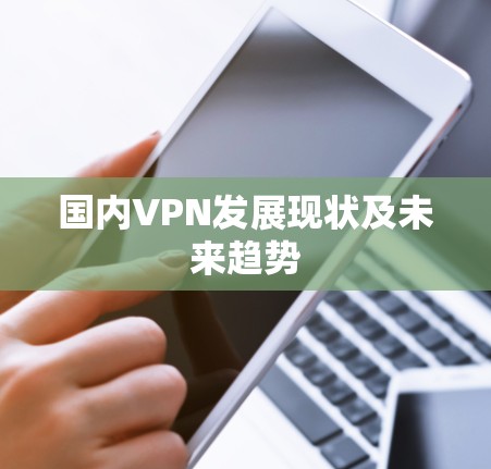 国内VPN发展现状及未来趋势 国内VPN发展现状及未来趋势
