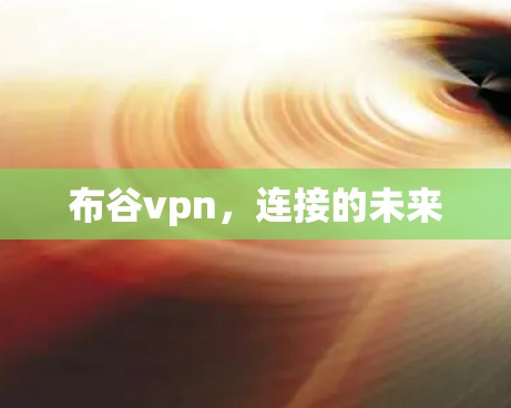 布谷vpn,连接的未来 布谷vpn,连接的未来