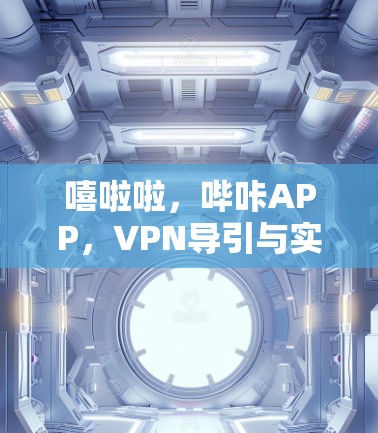 嘻啦啦，哔咔APP，VPN导引与实际应用