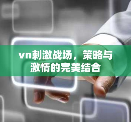 vn刺激战场，策略与激情的完美结合