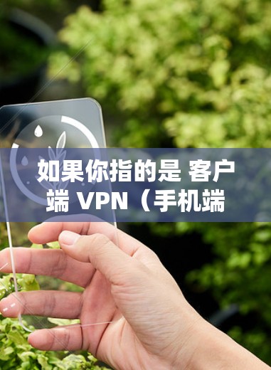 如果你指的是 客户端 VPN（手机端 VPN）这通常是指用于在手机上实现VPN功能的工具或软件。这些工具通过密码或互联网连接来实现，允许用户在手机上访问外部网络