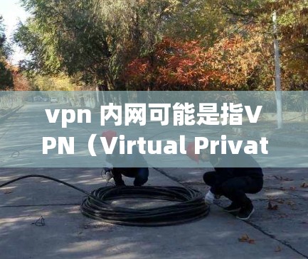 vpn 内网可能是指VPN（Virtual Private Network，虚拟网络）和内网（internal network）两种不同的网络概念。以下是关于这两种概念的简单解释