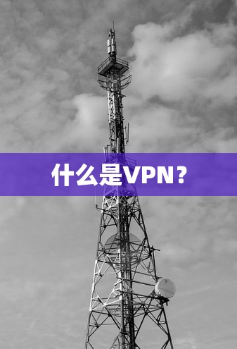什么是VPN? 什么是VPN?