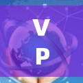 VPN 简介 VPN 简介