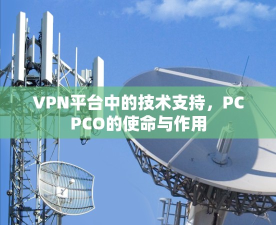 VPN平台中的技术支持,PCPCO的使命与作用 VPN平台中的技术支持,PCPCO的使命与作用