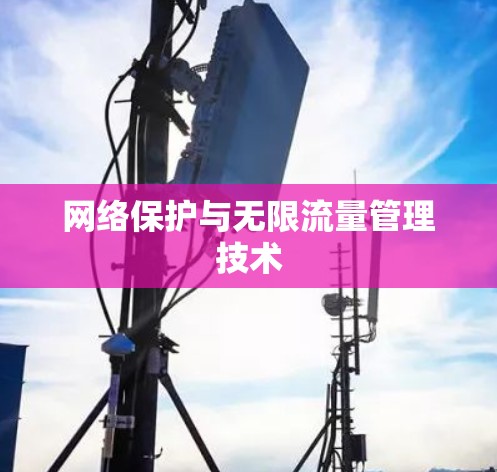 网络保护与无限流量管理技术