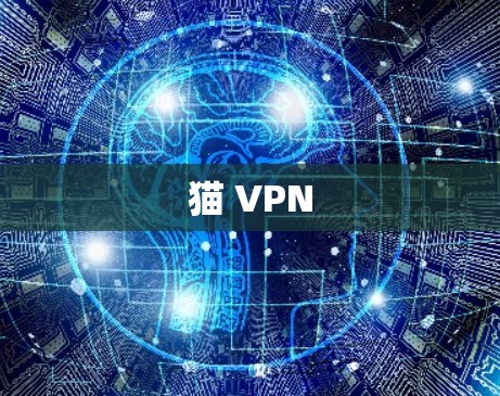 猫 VPN