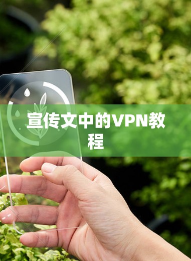 宣传文中的VPN教程 宣传文中的VPN教程