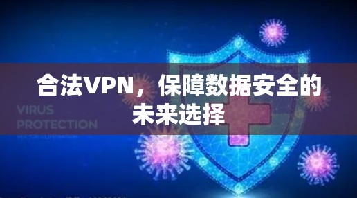 合法VPN,保障数据安全的未来选择 合法VPN,保障数据安全的未来选择