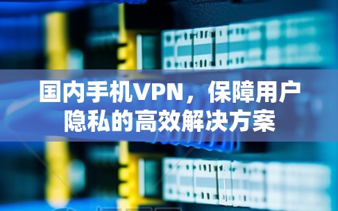国内手机VPN,保障用户隐私的高效解决方案 国内手机VPN,保障用户隐私的高效解决方案
