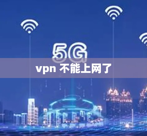 vpn 不能上网了