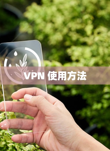 VPN 使用方法 VPN 使用方法