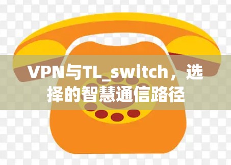 VPN与TL_switch,选择的智慧通信路径 VPN与TL_switch,选择的智慧通信路径