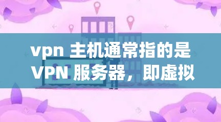 vpn 主机通常指的是 VPN 服务器，即虚拟专用网关。VPN 服务器是用户在 Web 网站上访问外部网站时使用的网络设备，它通过VPN协议（如 OpenVPN、VPN 等）将用户连接到外部服务器