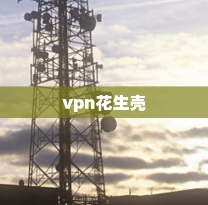 vpn花生壳