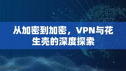 从加密到加密,VPN与花生壳的深度探索 从加密到加密,VPN与花生壳的深度探索