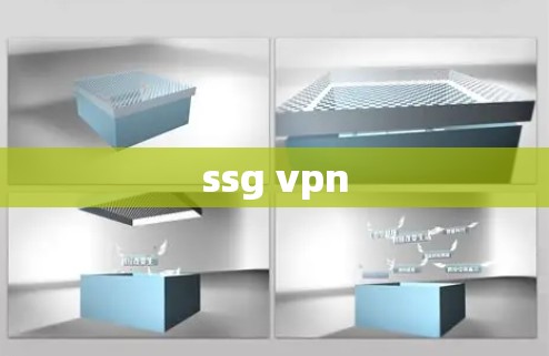 ssg vpn