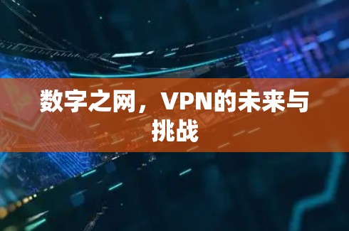 数字之网，VPN的未来与挑战