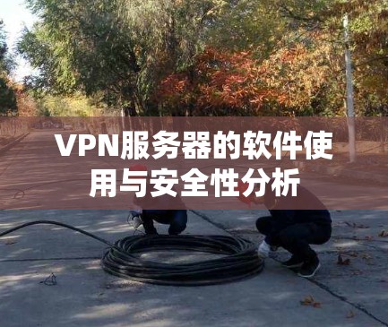 VPN服务器的软件使用与安全性分析